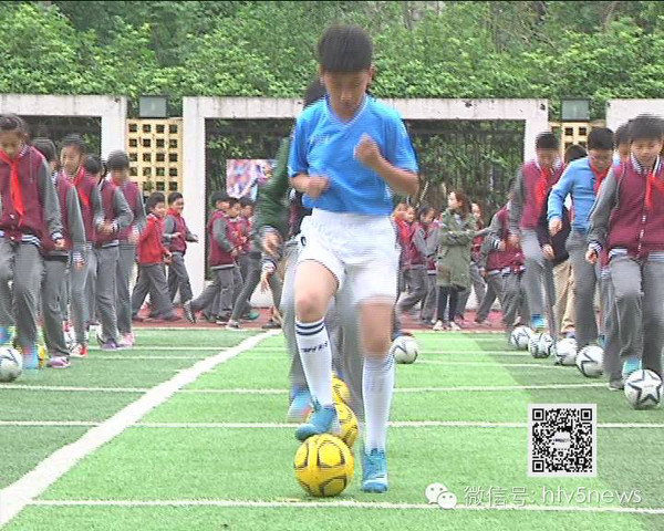 下肢与髋 下肢与髋