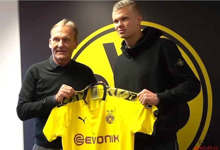 的对线强度 的对线强度