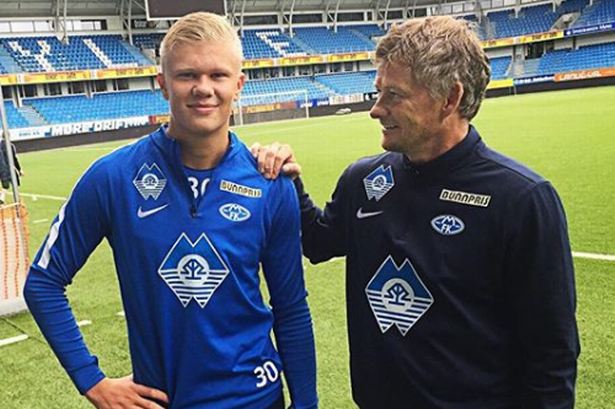 拉丁化球迷 拉丁化球迷